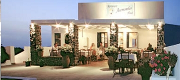 Las mejores ofertas de ANEMOMILOS Oia