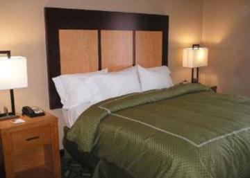 Las mejores ofertas de COMFORT SUITES AIRPORT Jacksonville Naval Air Stati