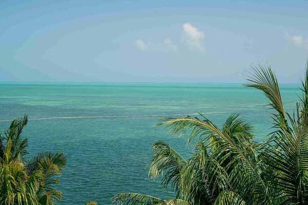 Las mejores ofertas de Amara Cay Resort Islamorada 