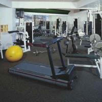 Las mejores ofertas de THE WESTIN SNOWMASS RESORT Snowmass Village