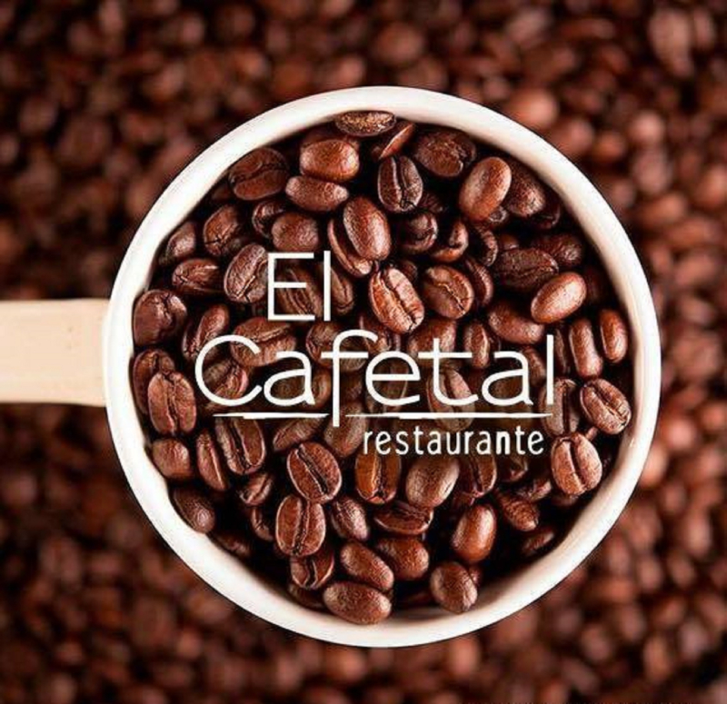 Las mejores ofertas de Loma Real Tapachula