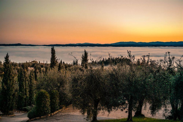 Las mejores ofertas de VILLA SAN PAOLO San Gimignano 