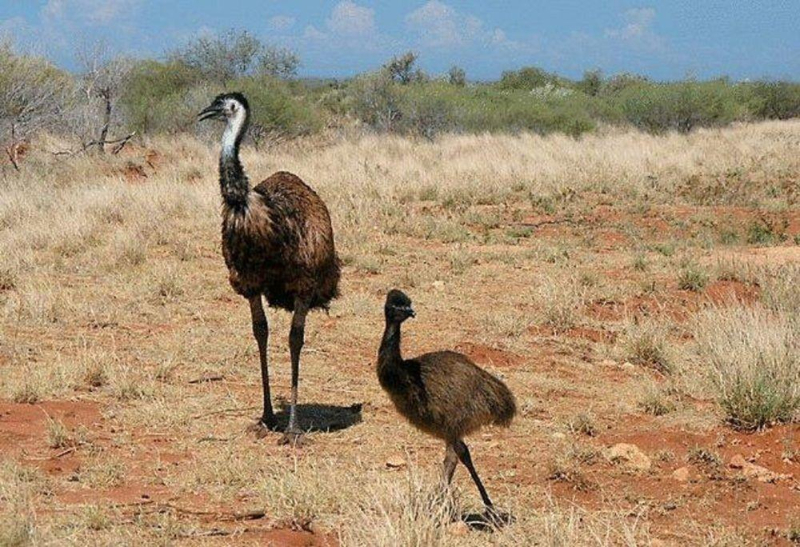 BEST WESTERN Sea Breeze Resort Exmo