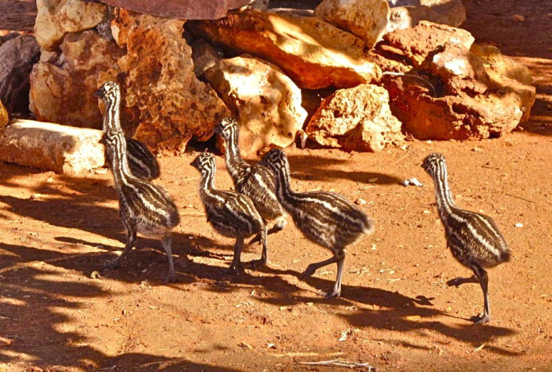 BEST WESTERN Sea Breeze Resort Exmo