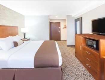 Las mejores ofertas de Wingate by Wyndham Detroit Metro Airport Romulus