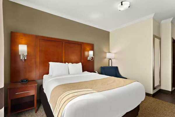 Las mejores ofertas de Comfort Suites Central Corpus Christi