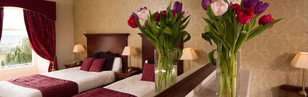 Las mejores ofertas de Roundthorn Country House Penrith