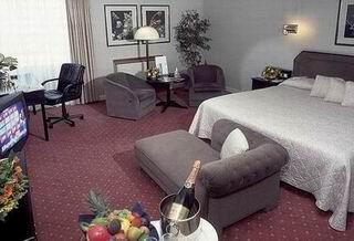 Las mejores ofertas de HOLIDAY INN EINDHOVEN Eindhoven 