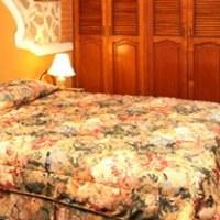 Las mejores ofertas de EL CARMEN Antigua Guatemala