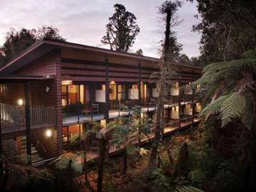 TE WAONUI FOREST RETREAT