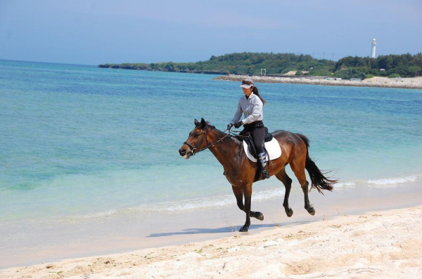 Las mejores ofertas de OKINAWA GRAND MER RESORT Okinawa