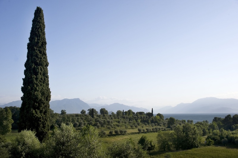 Residence Castello Belvedere