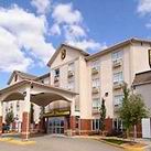 Las mejores ofertas de SUPER 8 HIGH LEVEL High Level