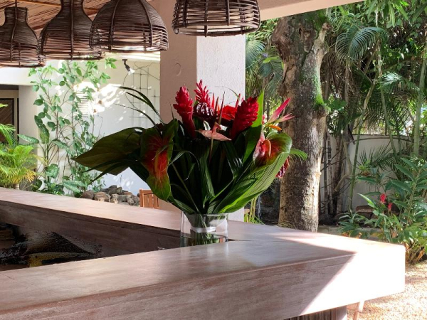 Las mejores ofertas de Sous Le Badamier Grand Baie 