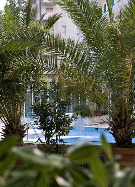 Las mejores ofertas de VIENNA TOURING Riccione