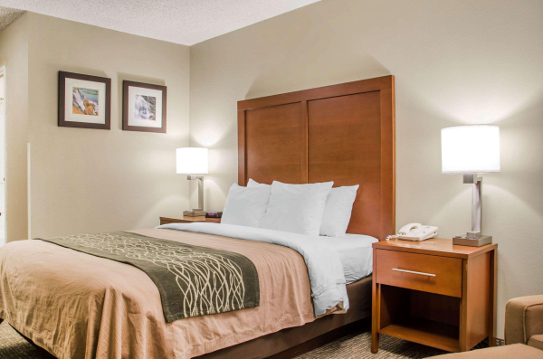 Las mejores ofertas de Comfort inn Idaho Falls Idaho Falls 