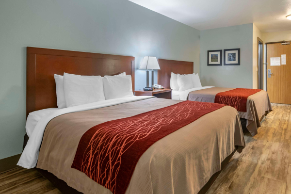 Las mejores ofertas de SureStay Plus Hotel by Best Western Buffalo Buffalo