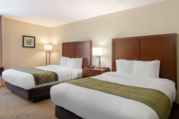 Las mejores ofertas de Comfort Inn Douglasville - Atlanta West College Park