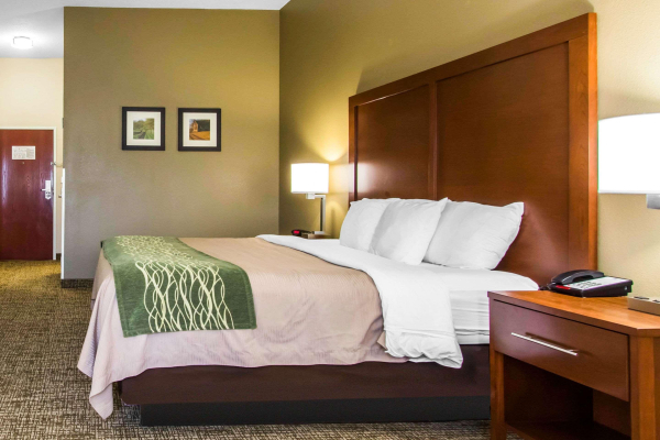 Las mejores ofertas de Comfort Inn & Suites Louisville 