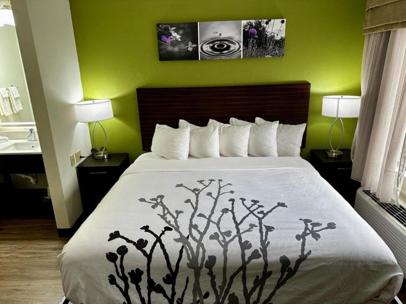 Las mejores ofertas de Sleep Inn Savannah Gateway I-95 Savannah 