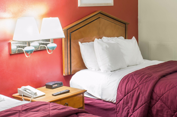 Las mejores ofertas de Quality Inn Washington Nc Washington