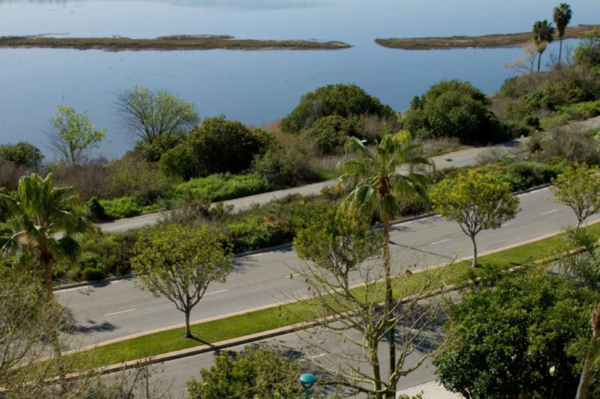 Las mejores ofertas de Newport Beach Marriott Bayview Newport Beach 