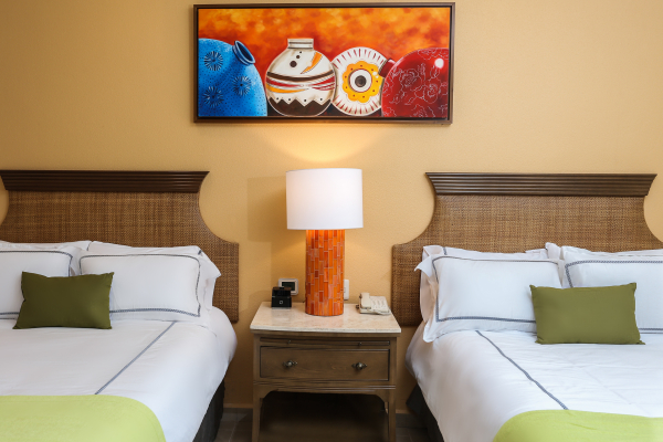 Las mejores ofertas de Villa del Palmar Loreto Loreto 