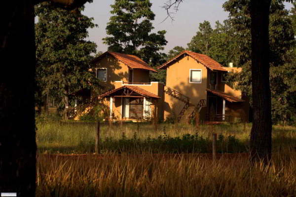 Las mejores ofertas de Chitvan Jungle Lodge KANHA NATIONAL PARK