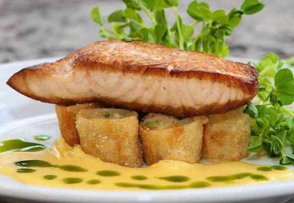 Las mejores ofertas de Marriott Memphis East Memphis 