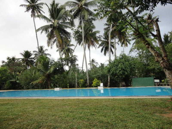 Las mejores ofertas de Polhena Reef Colombo