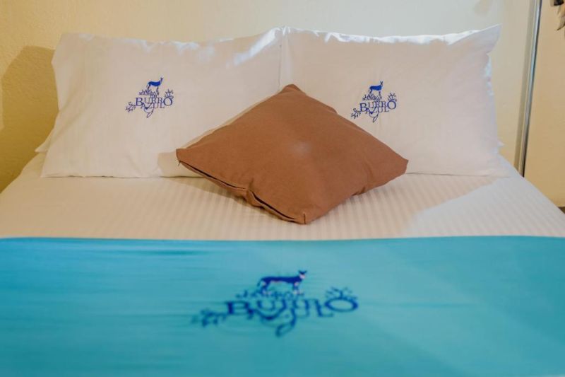 Hotel & Spa La Mansión del Burro Azul