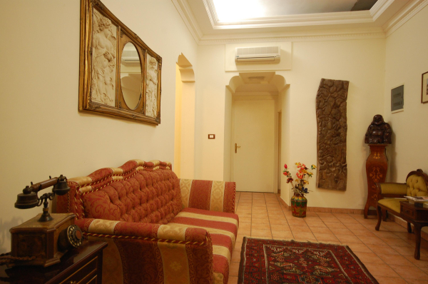 Las mejores ofertas de Alexis Roma