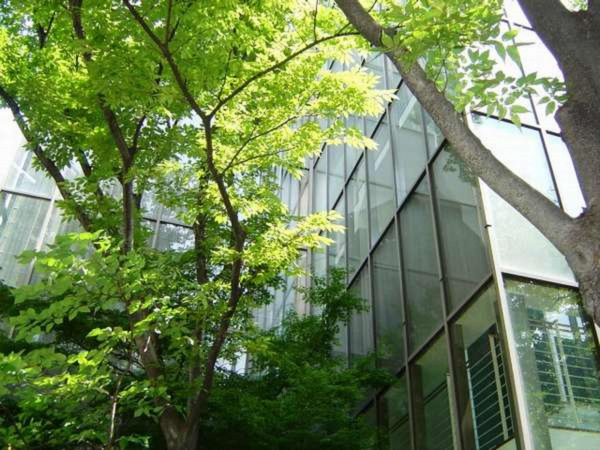 Las mejores ofertas de Ark Hotel Royal Fukuoka Tenjin Fukuoka 