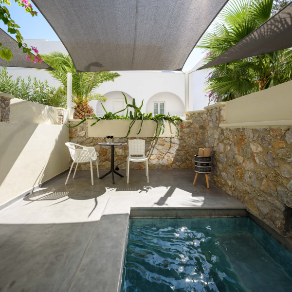 Las mejores ofertas de Afroditi Venus Kamarai