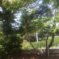 Las mejores ofertas de A Casa Da Pastora La Estrada