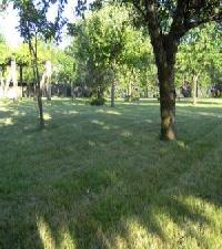 Las mejores ofertas de Eido de Abaixo Ponteareas