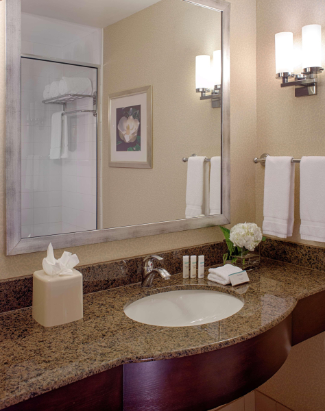 Las mejores ofertas de Hilton Garden Inn Jackson Downtown Jackson