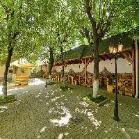 Las mejores ofertas de Traube Medias Targu Mures