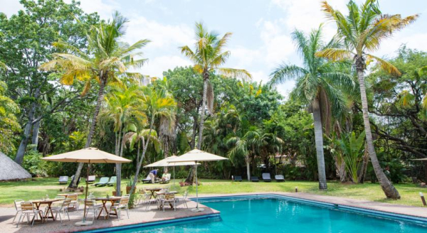 Las mejores ofertas de Sefapane Lodge Safaris Polokwane (pietersburg)