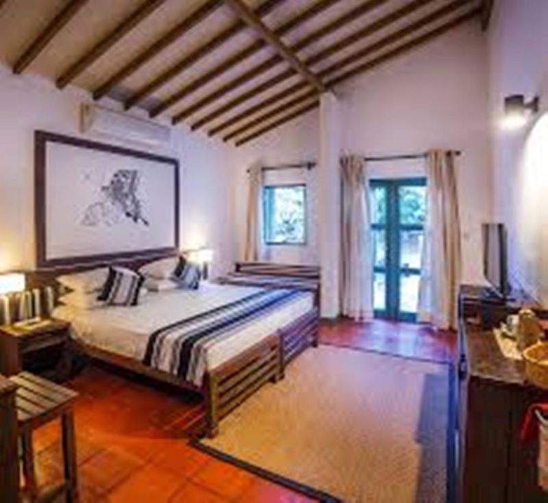 Las mejores ofertas de Elephant Reach Colombo 