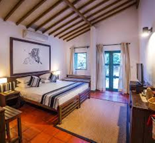 Las mejores ofertas de Elephant Reach Colombo