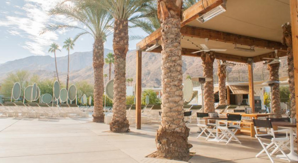 Las mejores ofertas de Ace Hotel Palm Springs Palm Springs 