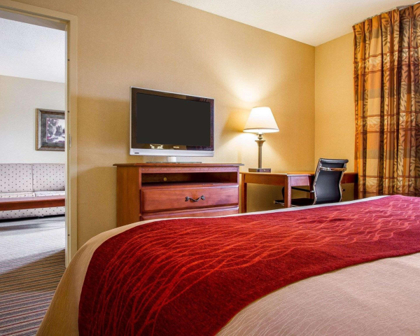Las mejores ofertas de Comfort Inn & Suites Wilton Area Wilton 
