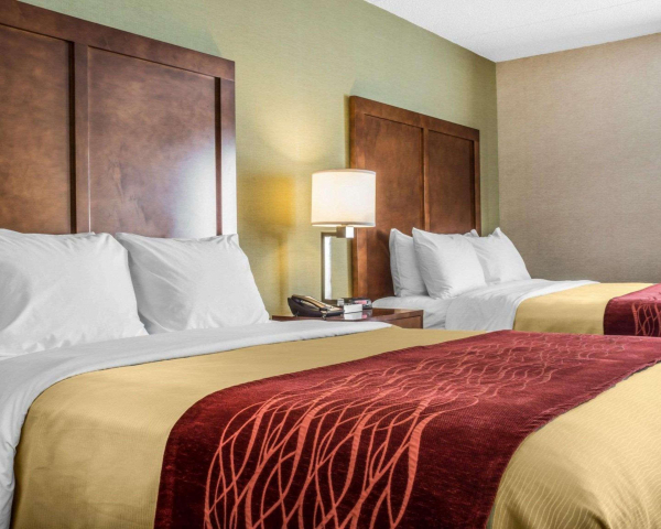 Las mejores ofertas de Clarion Pointe Jamestown Jamestown