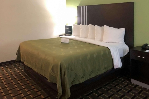 Las mejores ofertas de Quality Inn Elkton -St. Augustine South Elkton