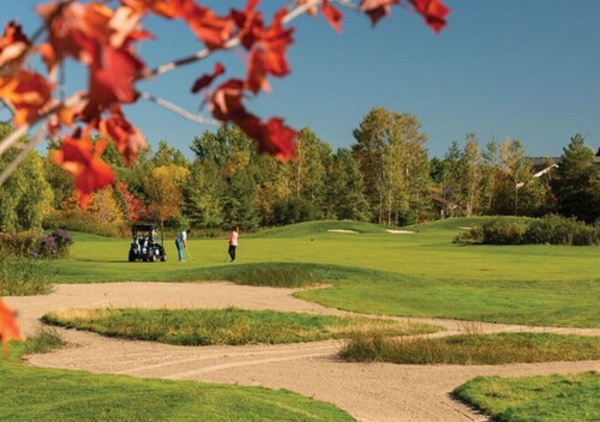 Las mejores ofertas de Living Stone Golf Resort Collingwood
