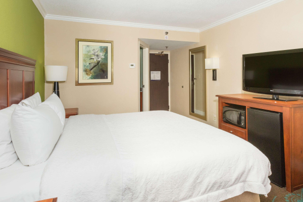 Las mejores ofertas de Hampton Inn Daytona Speedway-Airport Daytona Beach