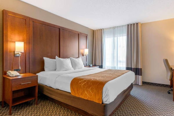Las mejores ofertas de Comfort Suites South Haven Area South Haven