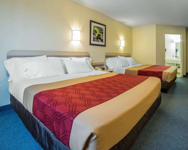 Las mejores ofertas de Econo Lodge Belle Fourche North Menomonie