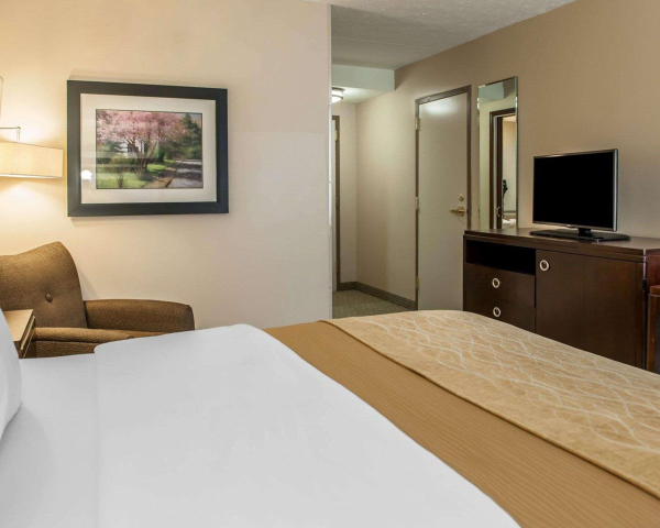 Las mejores ofertas de Comfort Inn Bloomington near University Bloomington